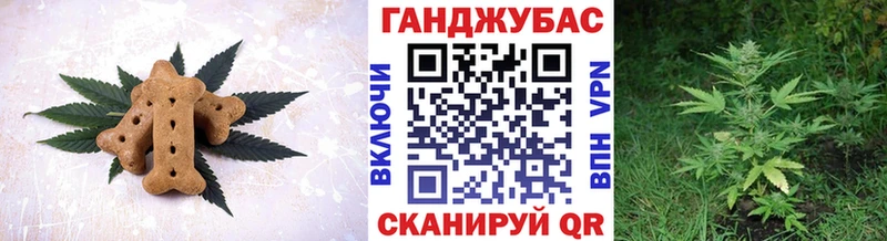 Купить где  Чебаркуль  Cannafood конопля 