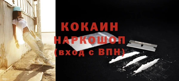 мяу мяу мука Баксан