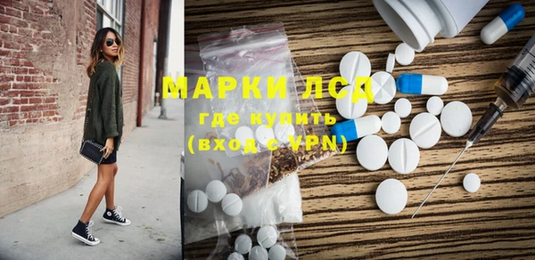 мяу мяу мука Баксан