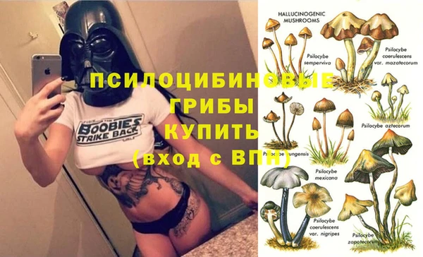 мяу мяу мука Баксан