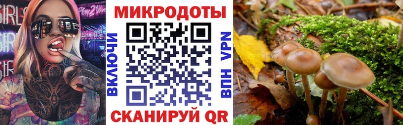 Галлюциногенные грибы прущие грибы  Купить где  Чебаркуль 